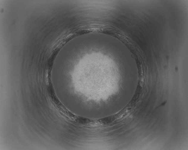 X0000056370696200508291401