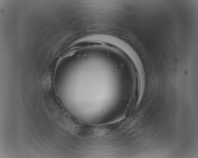 X0000056370697200508291401