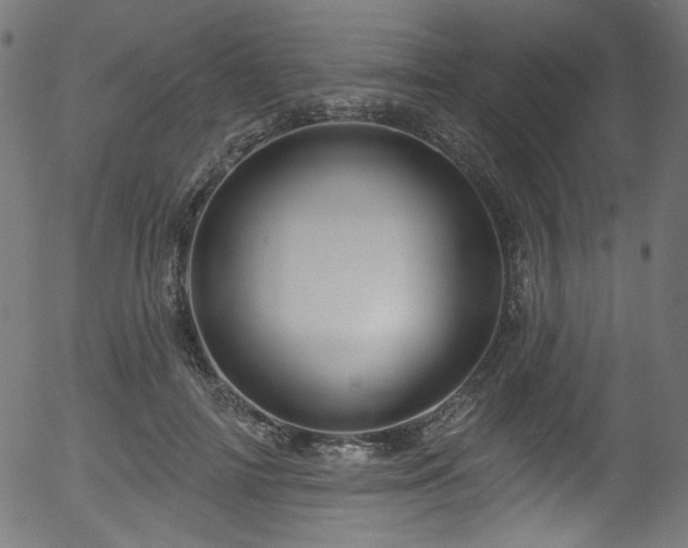 X0000056370698200508291401