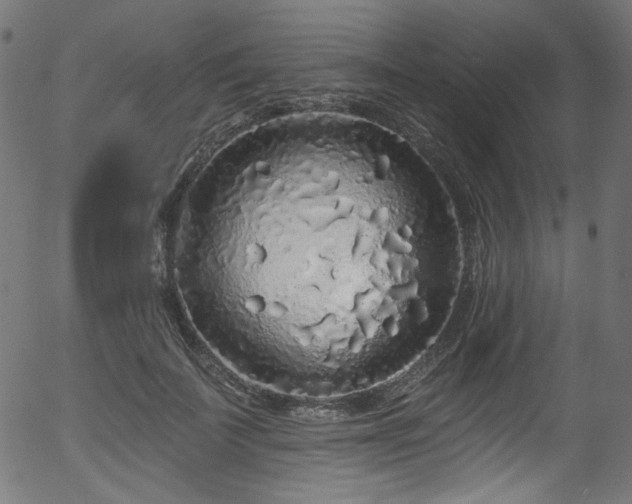 X0000056370699200508291401