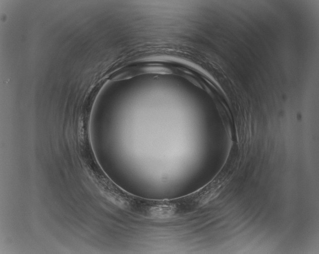 X0000056370700200508291401