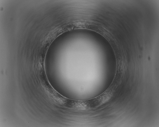 X0000056370702200508291401