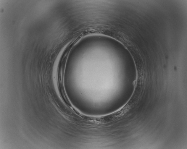 X0000056370703200508291401