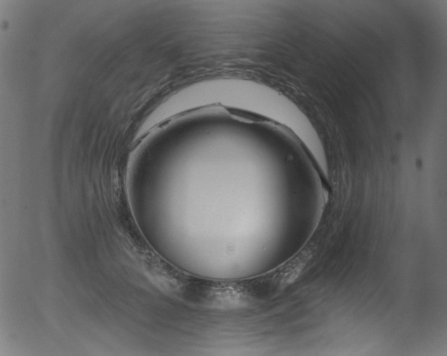 X0000056370704200508291401