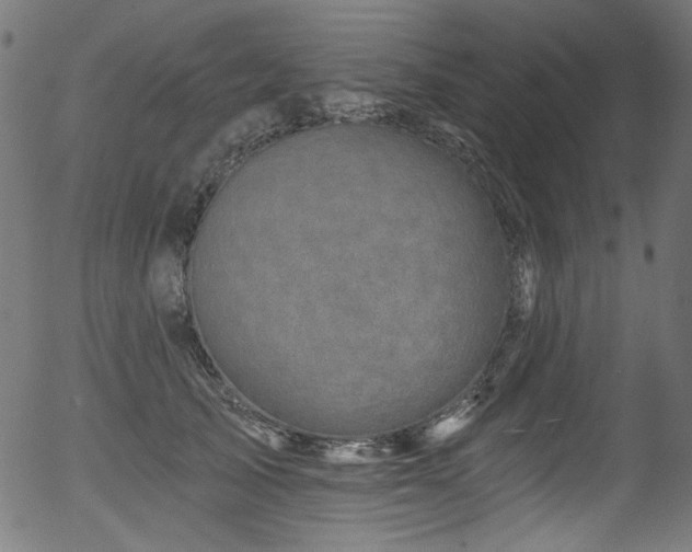 X0000056370705200508291401