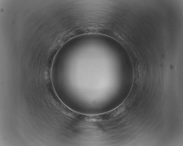 X0000056370706200508291401