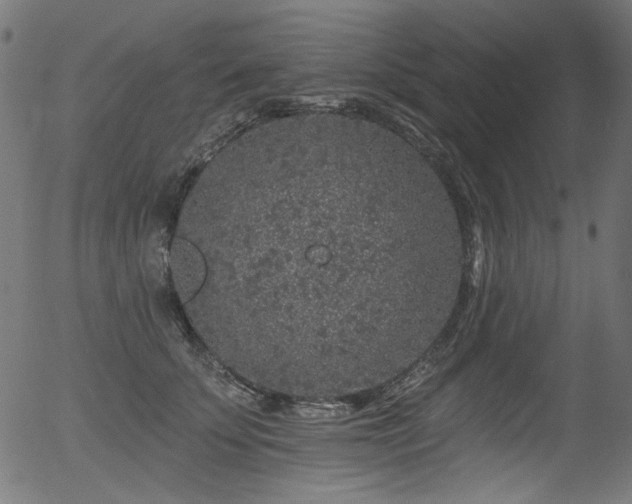 X0000056370707200508291401