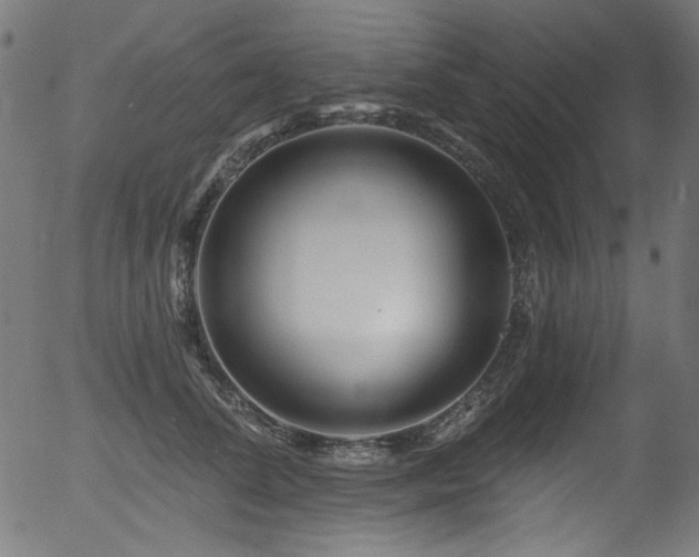 X0000056370708200508291401