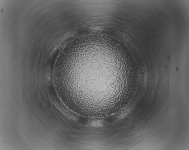 X0000056370710200508291401