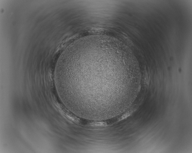 X0000056370711200508291401