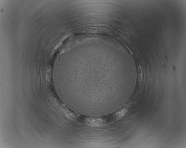 X0000056370712200508291401