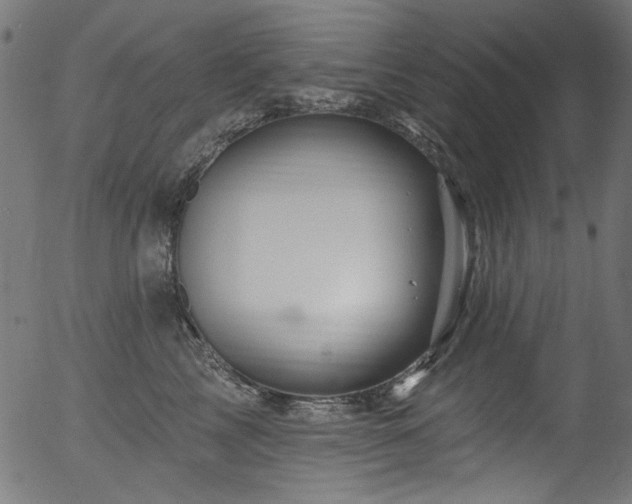 X0000056370713200508291401