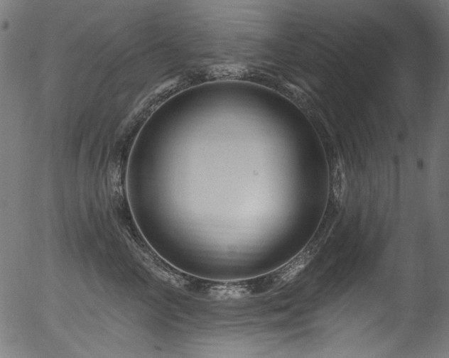 X0000056370714200508291401