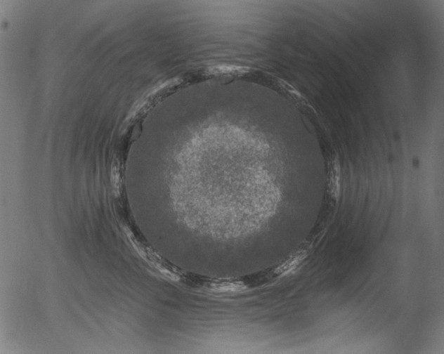 X0000056370716200508291401