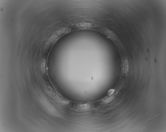 X0000056370717200508291401