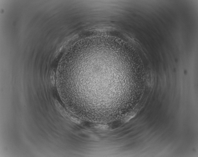 X0000056370718200508291401