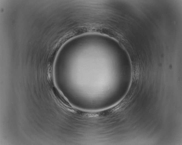 X0000056370719200508291401