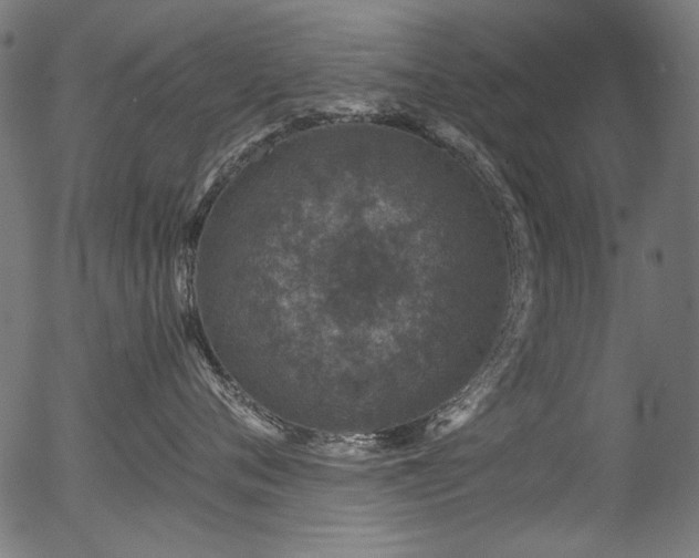 X0000056370720200508291401