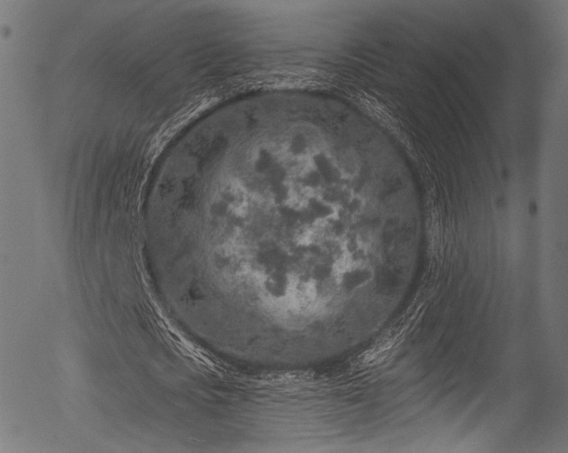 X0000056370721200508291400