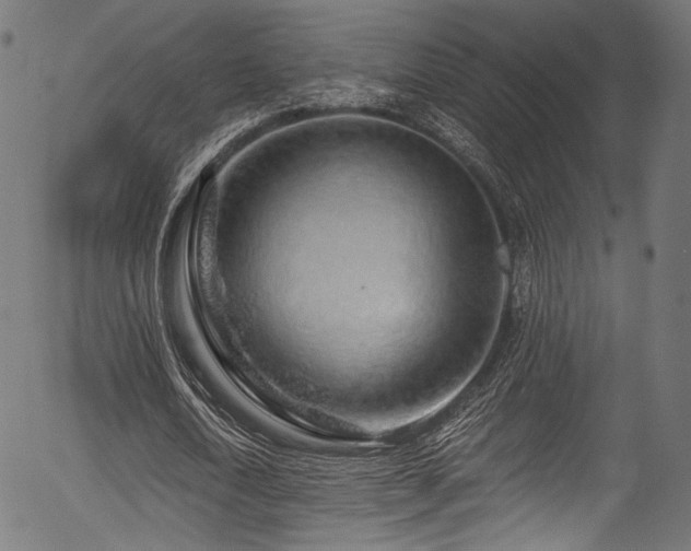 X0000056370722200508291400