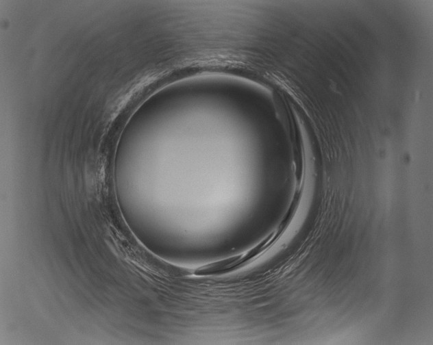 X0000056370723200508291400