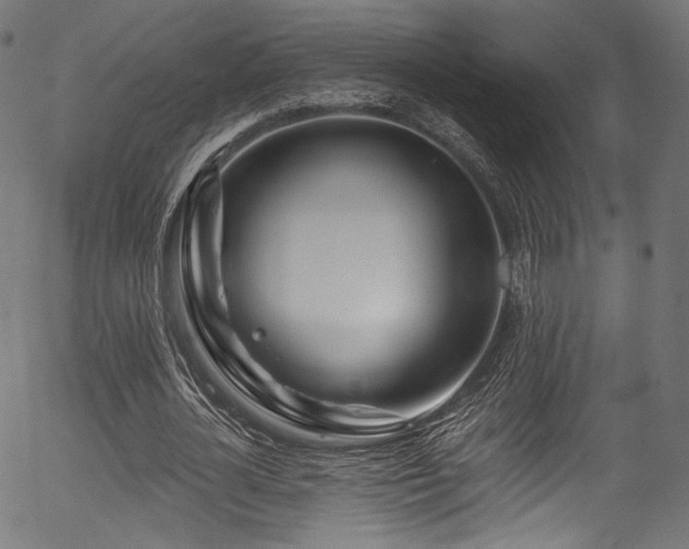 X0000056370724200508291400