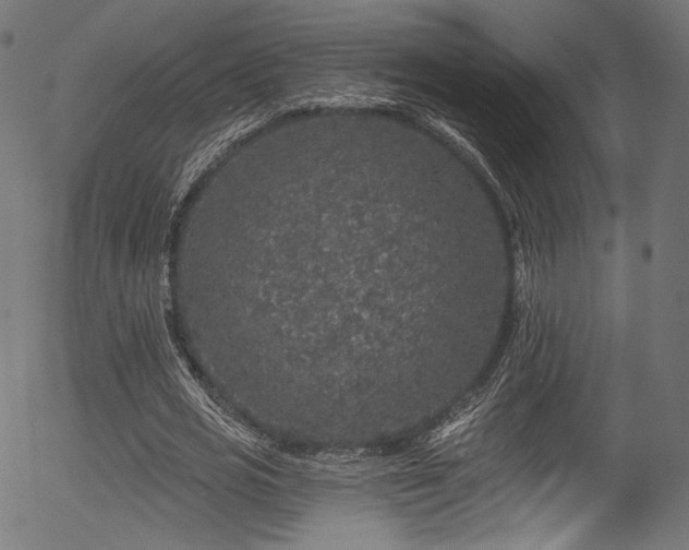 X0000056370725200508291400