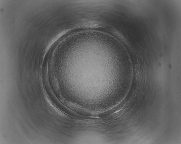 X0000056370726200508291400