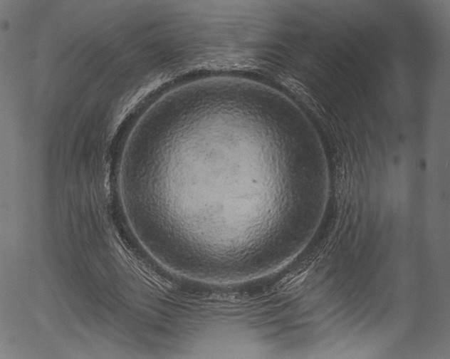 X0000056370727200508291400