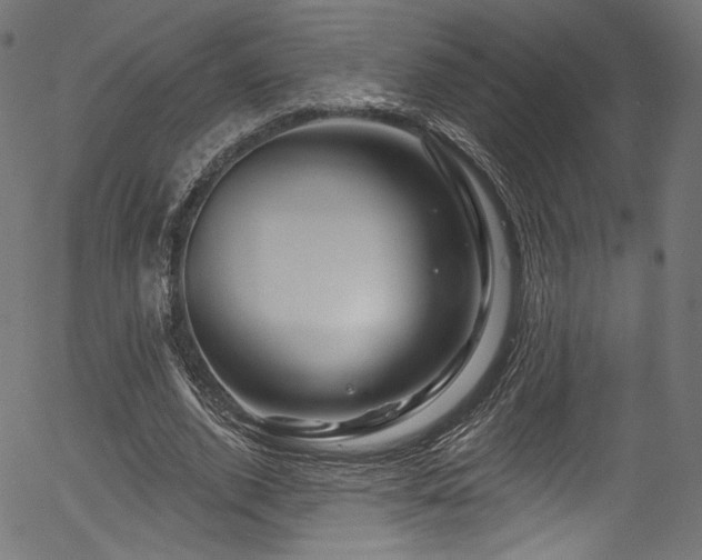 X0000056370728200508291400