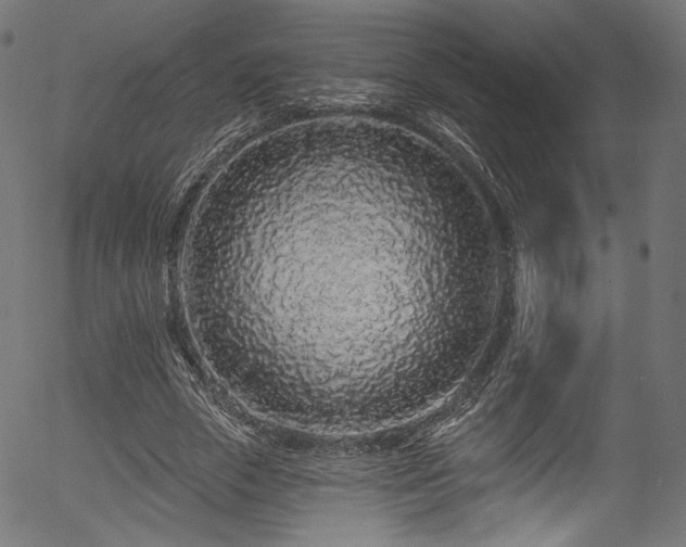 X0000056370729200508291400