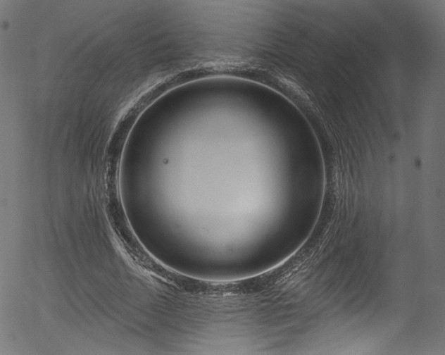 X0000056370730200508291400