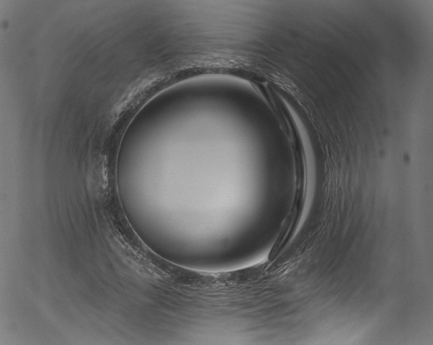 X0000056370731200508291400