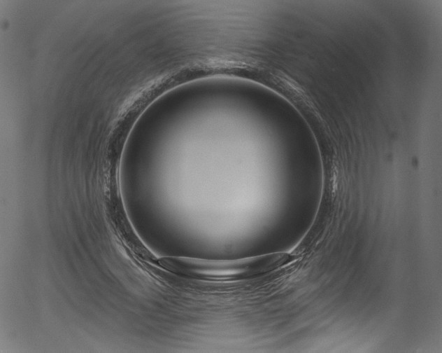 X0000056370732200508291400