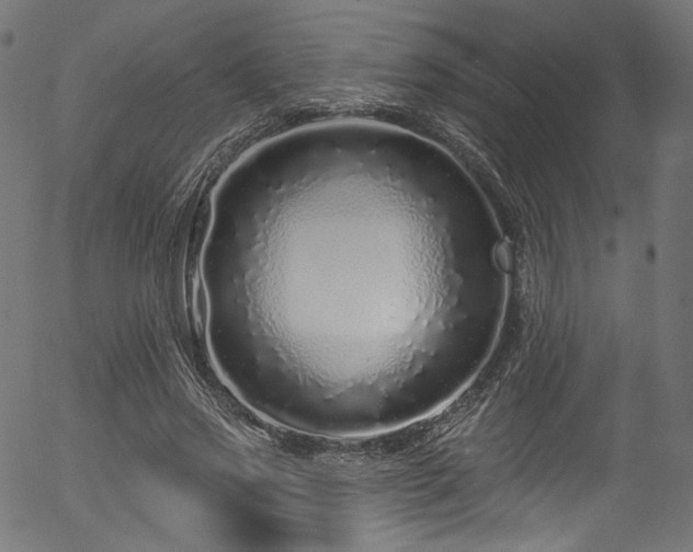 X0000056370733200508291400