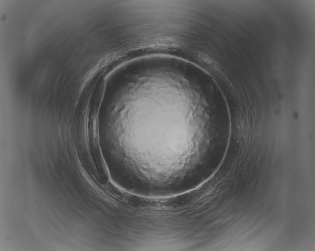 X0000056370734200508291400