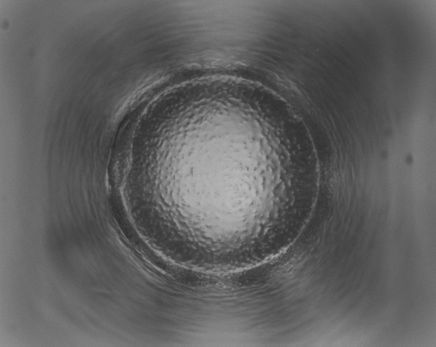 X0000056370735200508291400