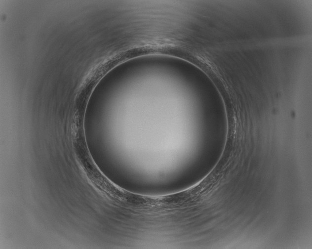 X0000056370736200508291400