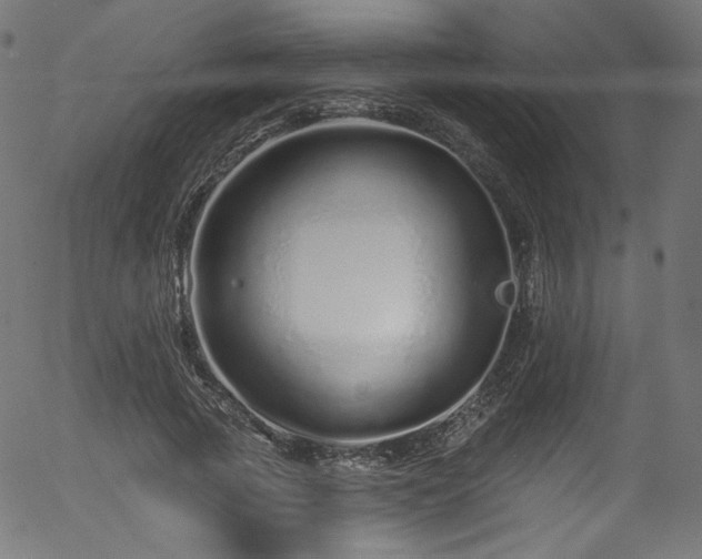 X0000056370737200508291400