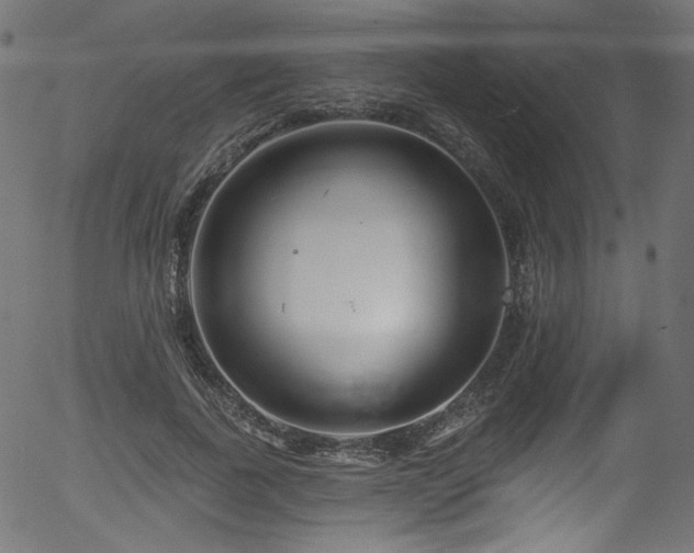 X0000056370739200508291400