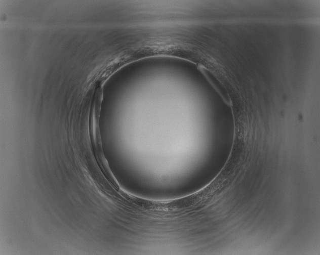 X0000056370740200508291400