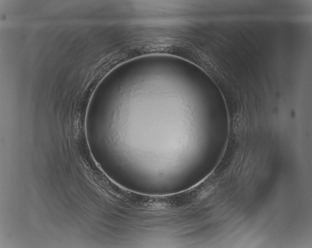 X0000056370741200508291400