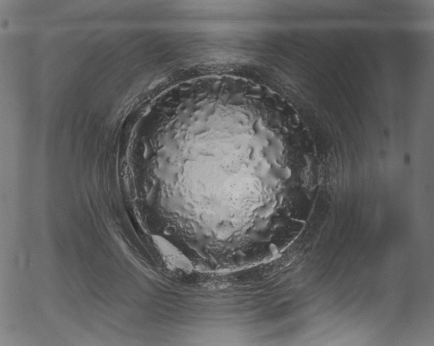 X0000056370742200508291400