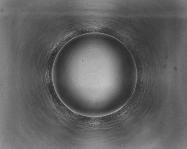 X0000056370743200508291400