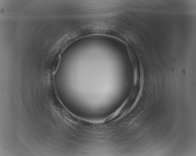 X0000056370744200508291400