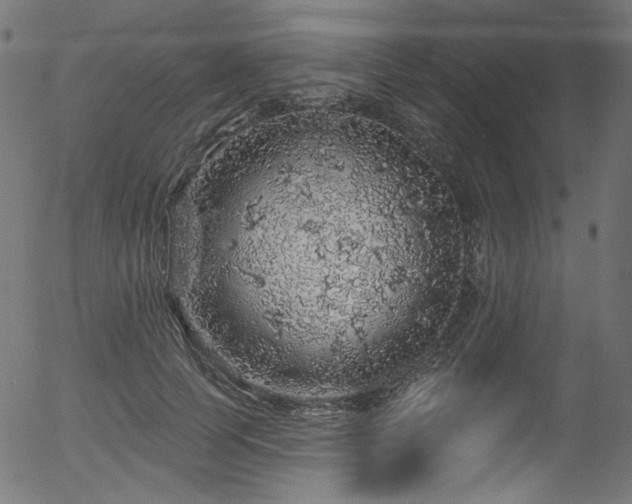 X0000056370745200508291400