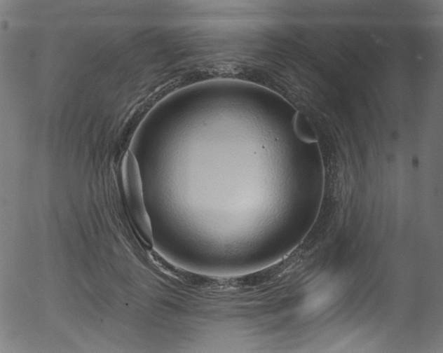 X0000056370747200508291400