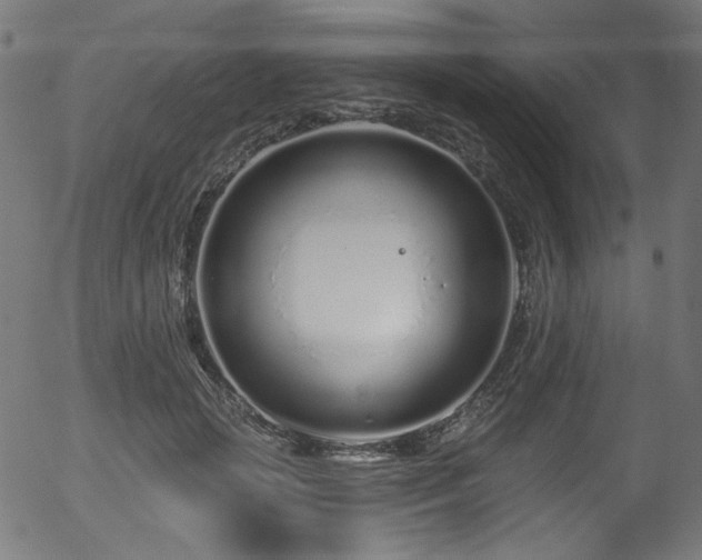 X0000056370749200508291400