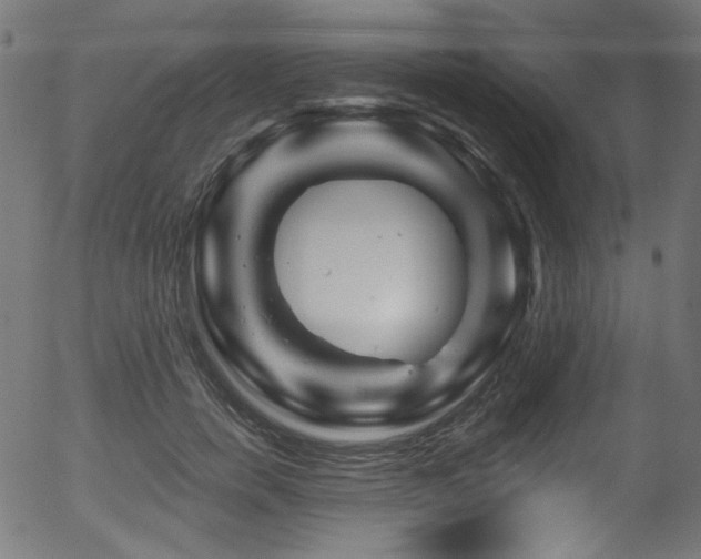 X0000056370750200508291400