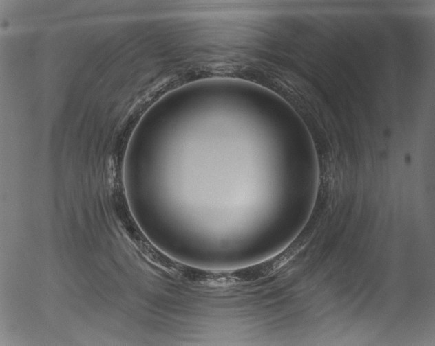 X0000056370752200508291400